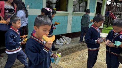 Fruitdag: gezond genieten op school